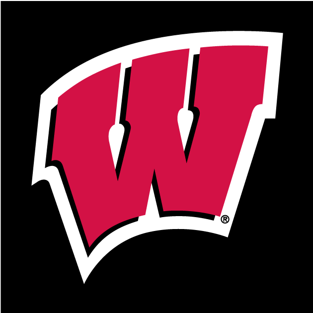 Wisconsin Badgers 1991-Pres Alternate Logo t shirts iron on transfers v2